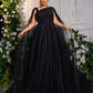 Plus Size Backless Butterfly  Asymmetrical Evening Dress